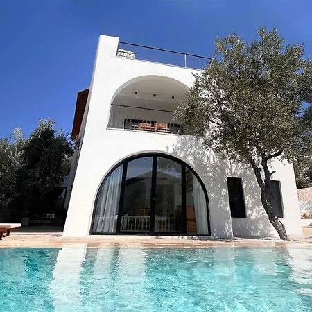 Traditional Kalkan With Private Pool And Gym 卡斯